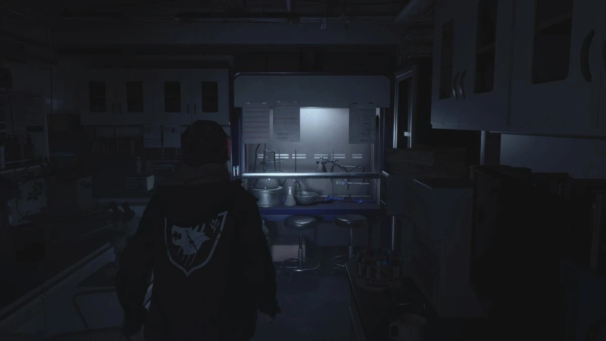 Resident Evil Village: Sombras de Rose