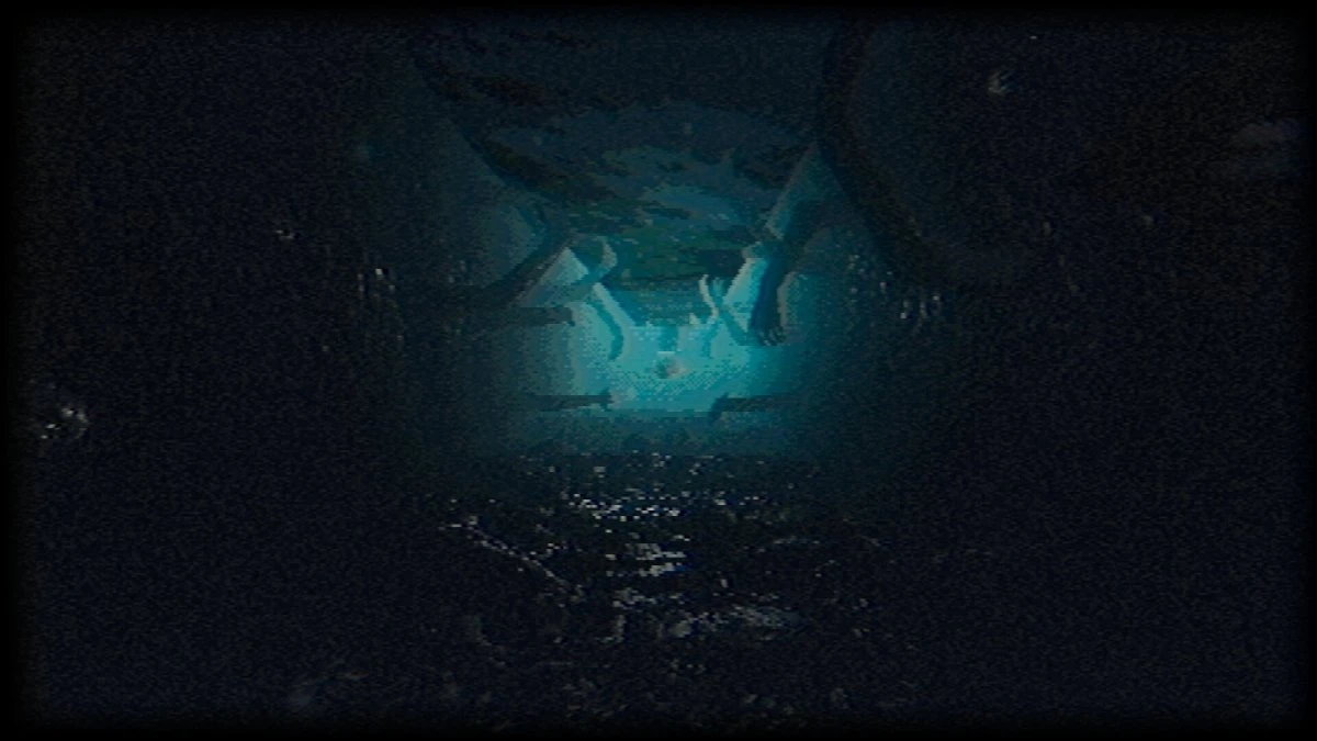 Plastomorphosis análisis