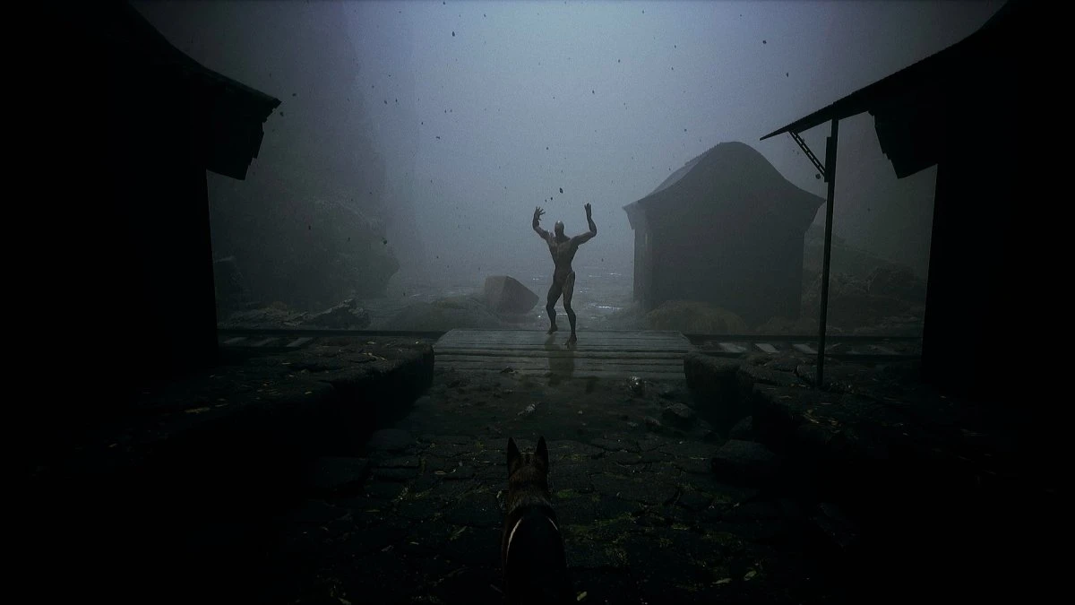 Shines Over: The Damned