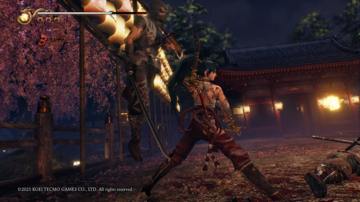 Ninja Gaiden 2 Black