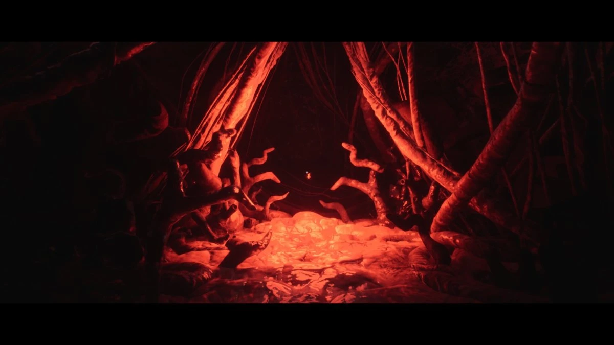 Luto an&aacute;lisis