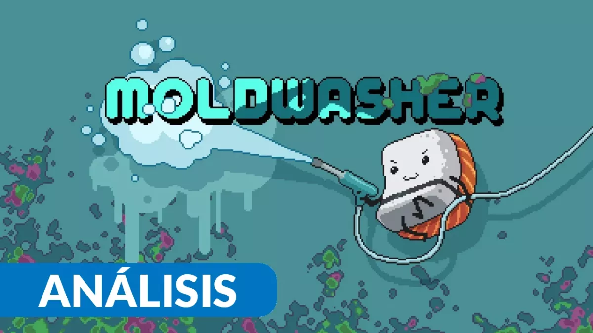 Análisis Moldwasher: la satisfacción de verlo todo reluciente
